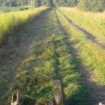 Corte en caminos de bajo tránsito