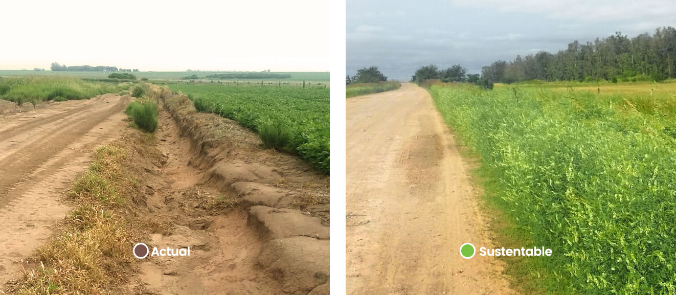 Cunetas descubiertas y erosionadas por un lado, y cunetas manejadas de forma sustentable por el otro.