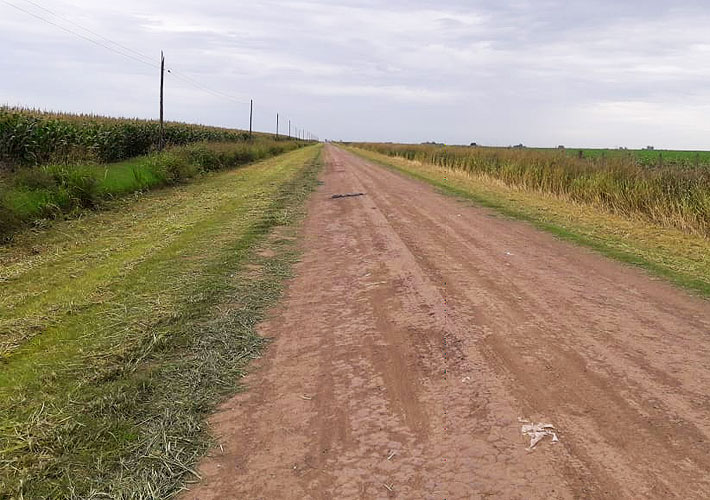 Corte de pasto reciente